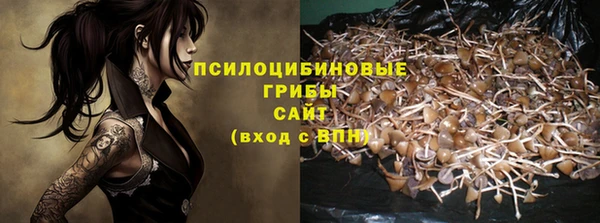 mdma Заводоуковск