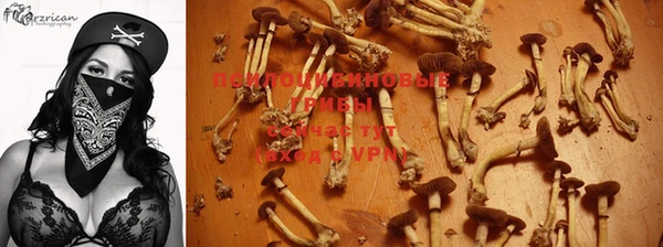 mdma Заводоуковск