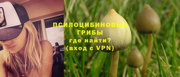 mdma Заводоуковск