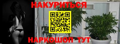 ГАЛЛЮЦИНОГЕННЫЕ ГРИБЫ Гусев