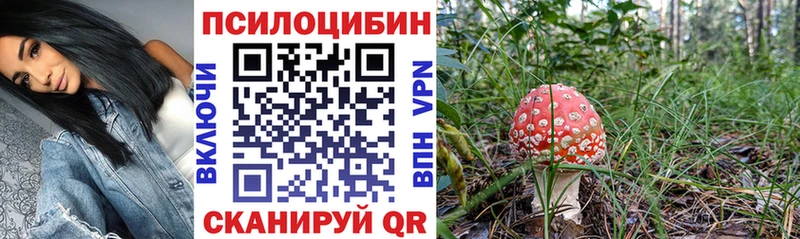 Псилоцибиновые грибы Psilocybine cubensis  купить наркоту  мега маркетплейс  Златоуст 