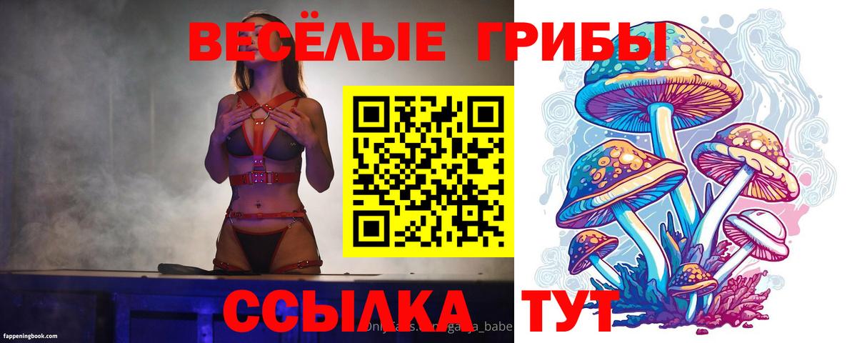 Златоуст  Псилоцибиновые грибы мухоморы  Вход с VPN  Галлюциногенные грибы Cubensis 