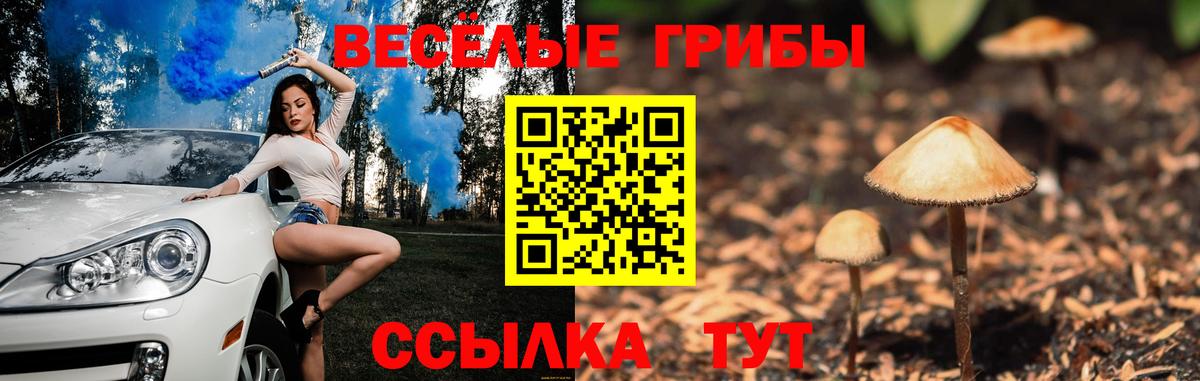 Галлюциногенные грибы Cubensis Златоуст